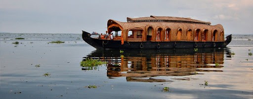 Lake Canopy